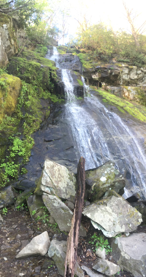 Default Title Text Default Alt text