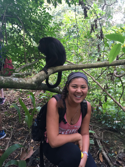 Default Title Text Default Alt text