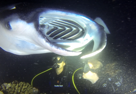 Default Title Text Default Alt text