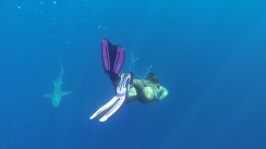 Default Title Text Default Alt text