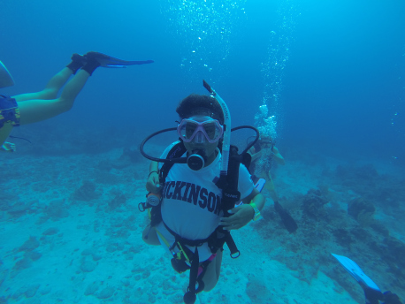 Default Title Text Default Alt text