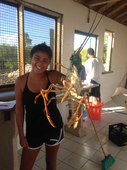 Default Title Text Default Alt text