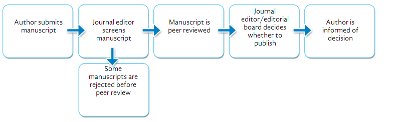 Journal Decision Making Process