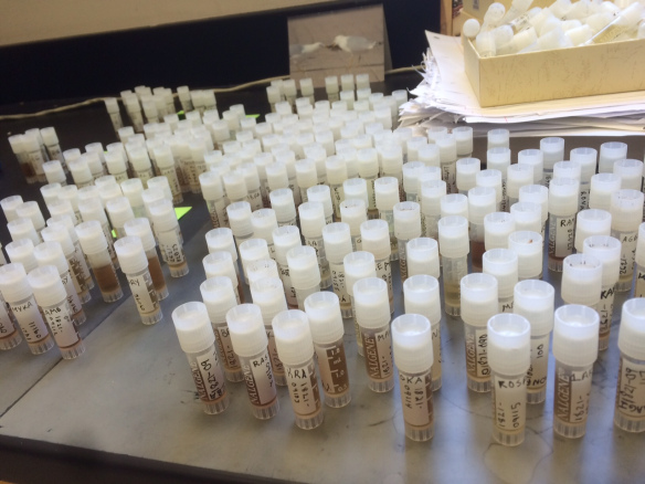 Default Title Text Default Alt text