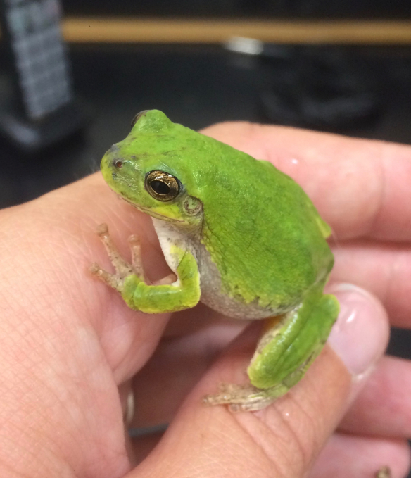 Default Title Text Default Alt text