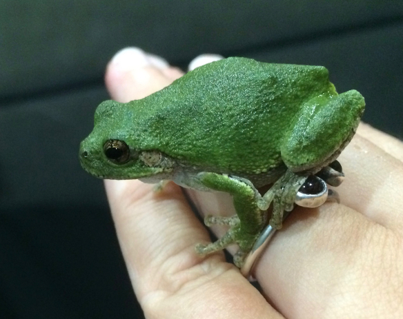 Default Title Text Default Alt text