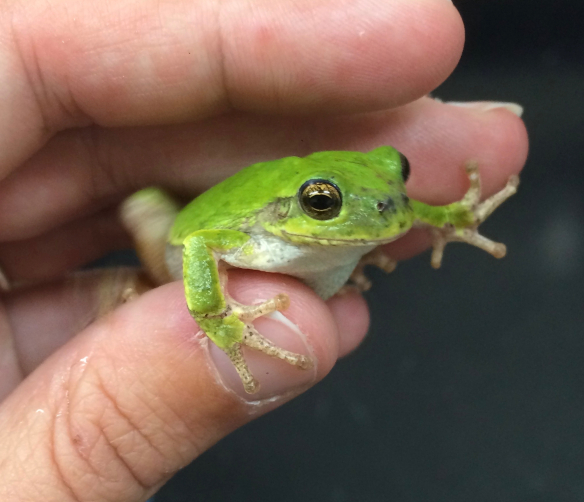 Default Title Text Default Alt text