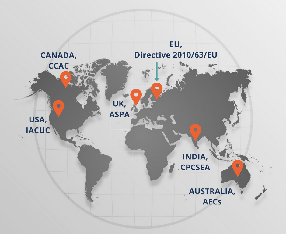 A look at some animal research regulatory bodies across the glone