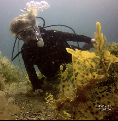 My first dive, encountering a leafy sea dragon in a seagrass meadow